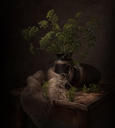 Donker botanisch stilleven door Margareth Perfoncio