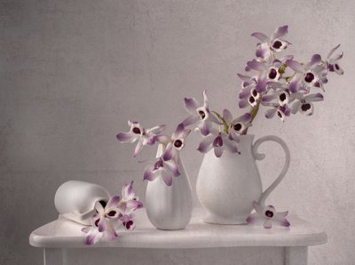 Fijnzinnig stilleven met orchideeën door Margareth Perfoncio
