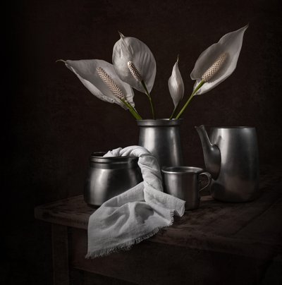 Elegante vredeslelies door Margareth Perfoncio