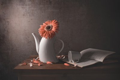 Oranje madeliefje – Gebroken theepot door Margareth Perfoncio