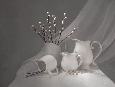 Lente-wilgenkannen door Margareth Perfoncio