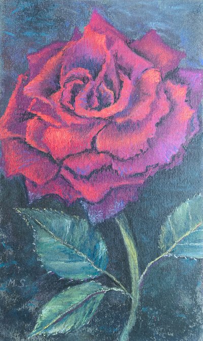 Schoonheid van de roos door Margo Starkey