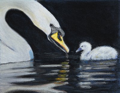 Volg mama door Margo Starkey