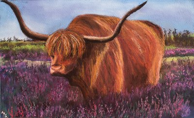 Hooglandstier in Schotse heide door Margo Starkey