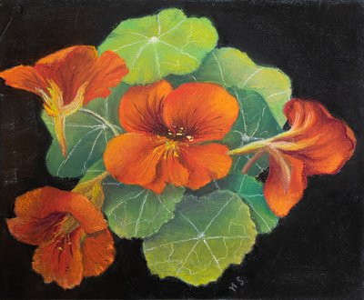Oost-Indische kers door Margo Starkey