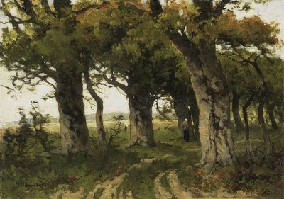 Eikenlaan in de nazomer. 1880-1900 door Maria Bilders van Bosse
