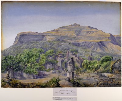 Champaneer, nabij Baroda, India door Marianne North