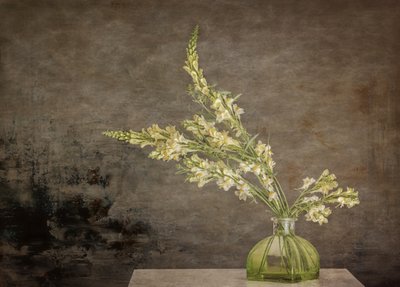 Rustiek bloemstilleven door Marie-anne Stas