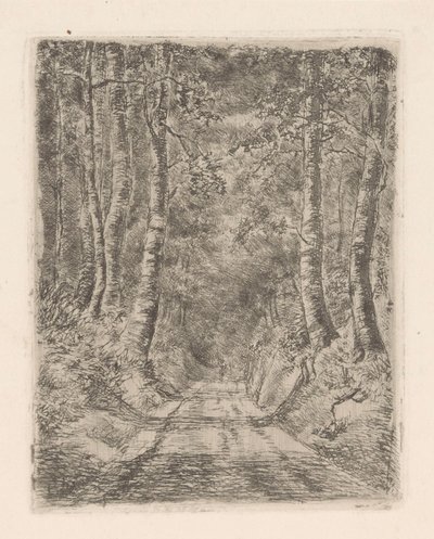 Bos langs een holle weg door Marie Adolphine van der Goes van Dirxland