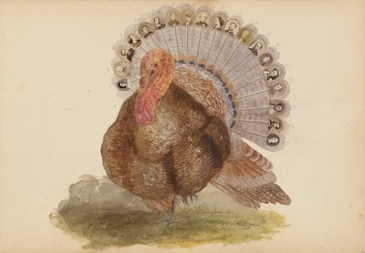 Het Madame B Album door Marie Blanche Hennelle Fournier