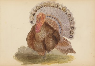 Het Madame B Album door Marie Blanche Hennelle Fournier