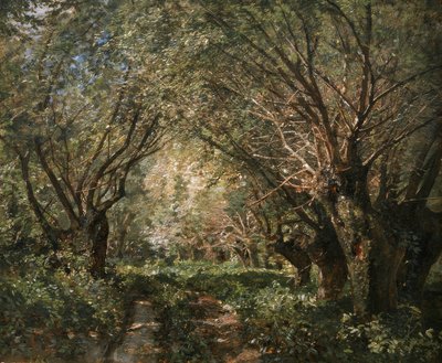 Wilgenlaan in Stillfried aan de March door Marie Egner