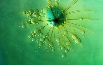 Groene bubbel met sterrenpatroon door Marijose Cueli