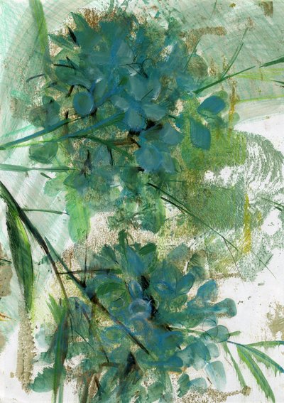 Hortensia