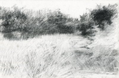 Landschap door Marina Falco