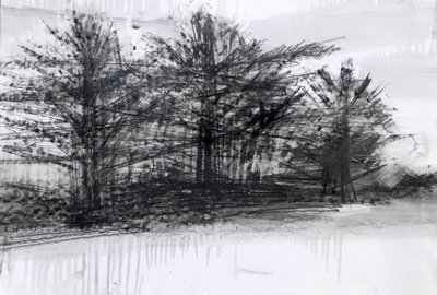 Bomen door Marina Falco