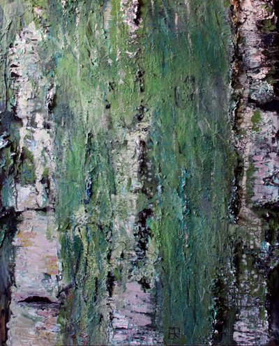 Groene, bemoste berkenbast door Marina Nelson