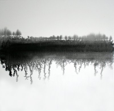 Monochrome bosweerspiegeling door Marina Nelson
