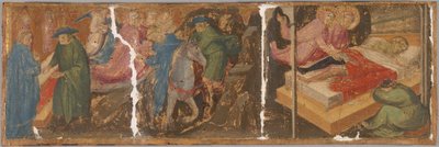 Scènes uit de Legende van de Heiligen Cosmas en Damianus door Mariotto di Nardo