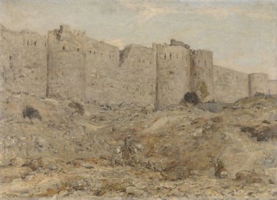 Stadsmuur in India door Marius Bauer
