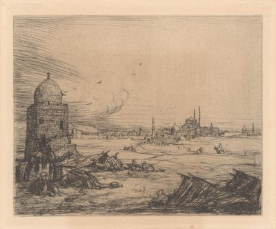 Stadsaanzicht met moskeeën door Marius Bauer