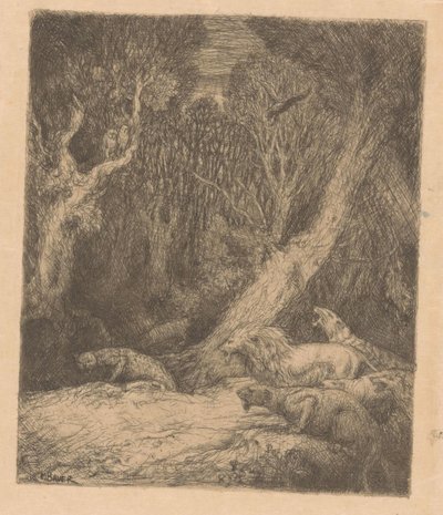 Wilde dieren in bos door Marius Bauer
