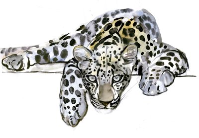 Arabische Luipaard, 2008 door Mark Adlington