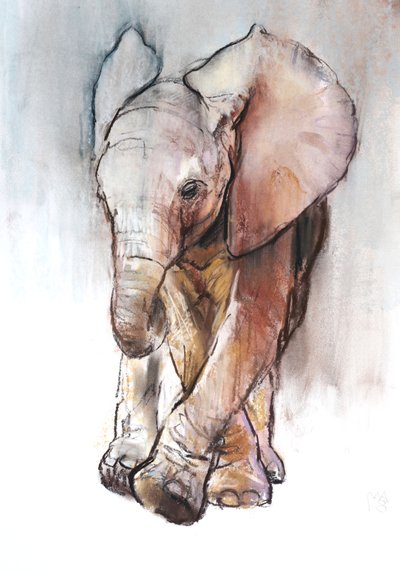 Baby Olifant 2, Loisaba door Mark Adlington