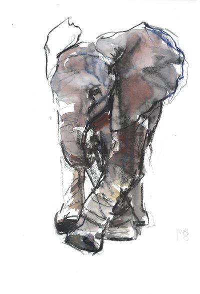 Baby Olifant Studie, 2018 door Mark Adlington