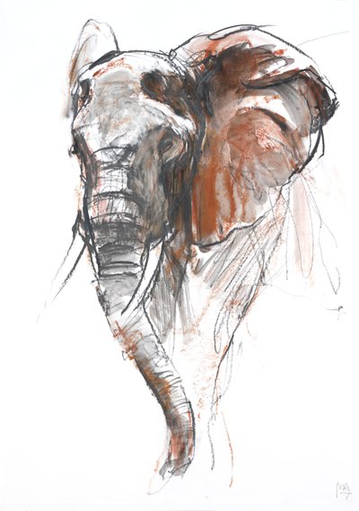 Mooie Vrouwelijke Olifant, Loisaba, 2018 door Mark Adlington