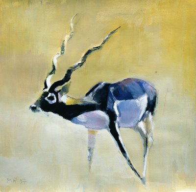 Zwarte Bok, Velavadar, 1997 door Mark Adlington