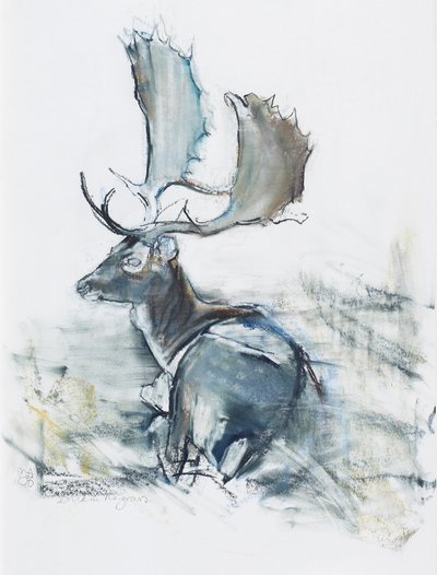 Hert in het Gras door Mark Adlington