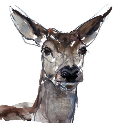 Hert (studie) door Mark Adlington