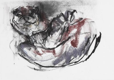 Otterhond door Mark Adlington