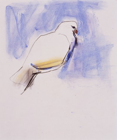 Duif, Trasierra, 1998 door Mark Adlington