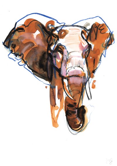 Olifantenkop Studie, 2018 door Mark Adlington
