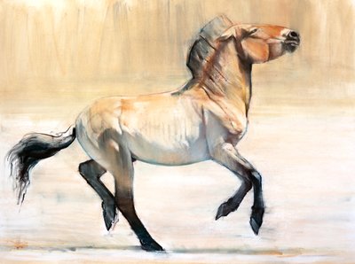 Equus (Przewalski) door Mark Adlington