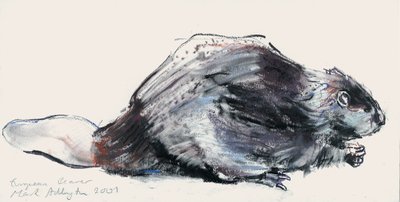 Europese bever (studie) 2001 door Mark Adlington