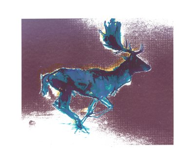 Damhert (blauwgele schaduw), 2015 door Mark Adlington