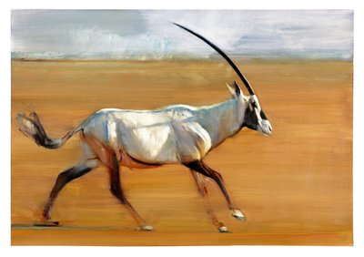 Galopperende Oryx, 2010 door Mark Adlington