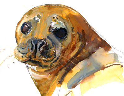 Gember pup, Westcove door Mark Adlington