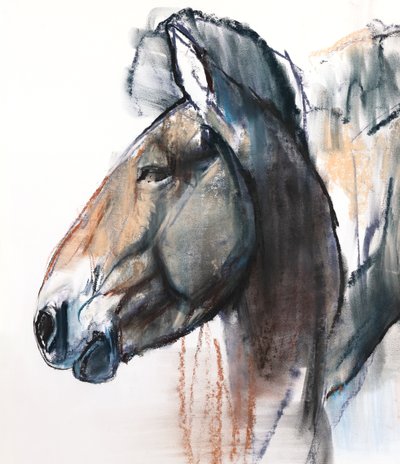 Hoofd Studie, Przewalski (detail) door Mark Adlington