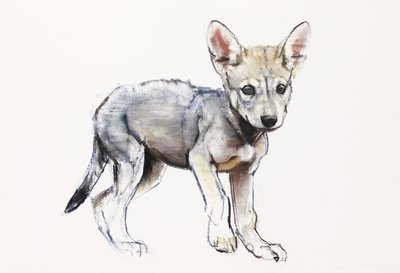 Aarzelende Arabische Wolvenpup, 2009 door Mark Adlington
