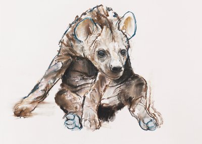 Hyena welp (hoofd naar beneden) door Mark Adlington