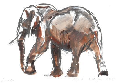 Loisaba conservancy, 2018 door Mark Adlington