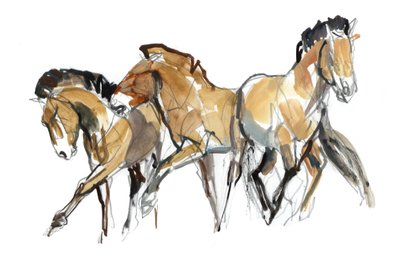 Mistral Drie (Przewalski) door Mark Adlington