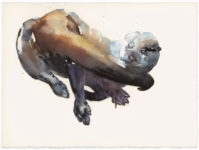 Otter Studie I - 