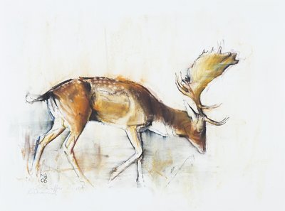 Pisanello Buck, 2006 door Mark Adlington