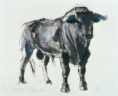 Plaza de Toros de Miajadas, 1998 door Mark Adlington