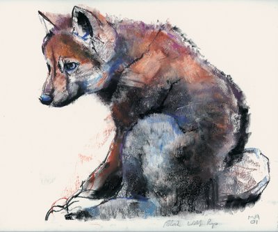 Poolse wolfspup, 2001 door Mark Adlington